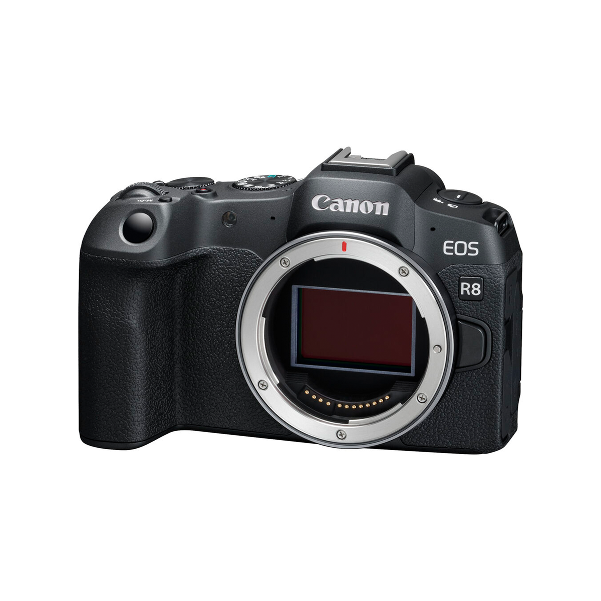 Canon EOS R8 BODY