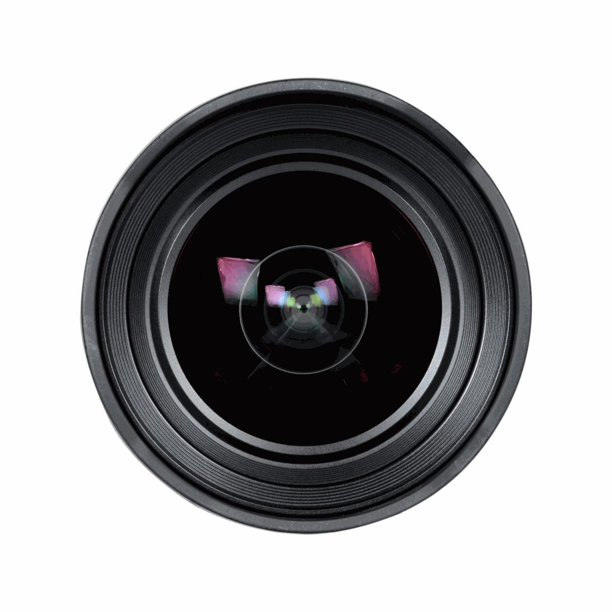 Sony FE 12-24mm f/4 G Lens