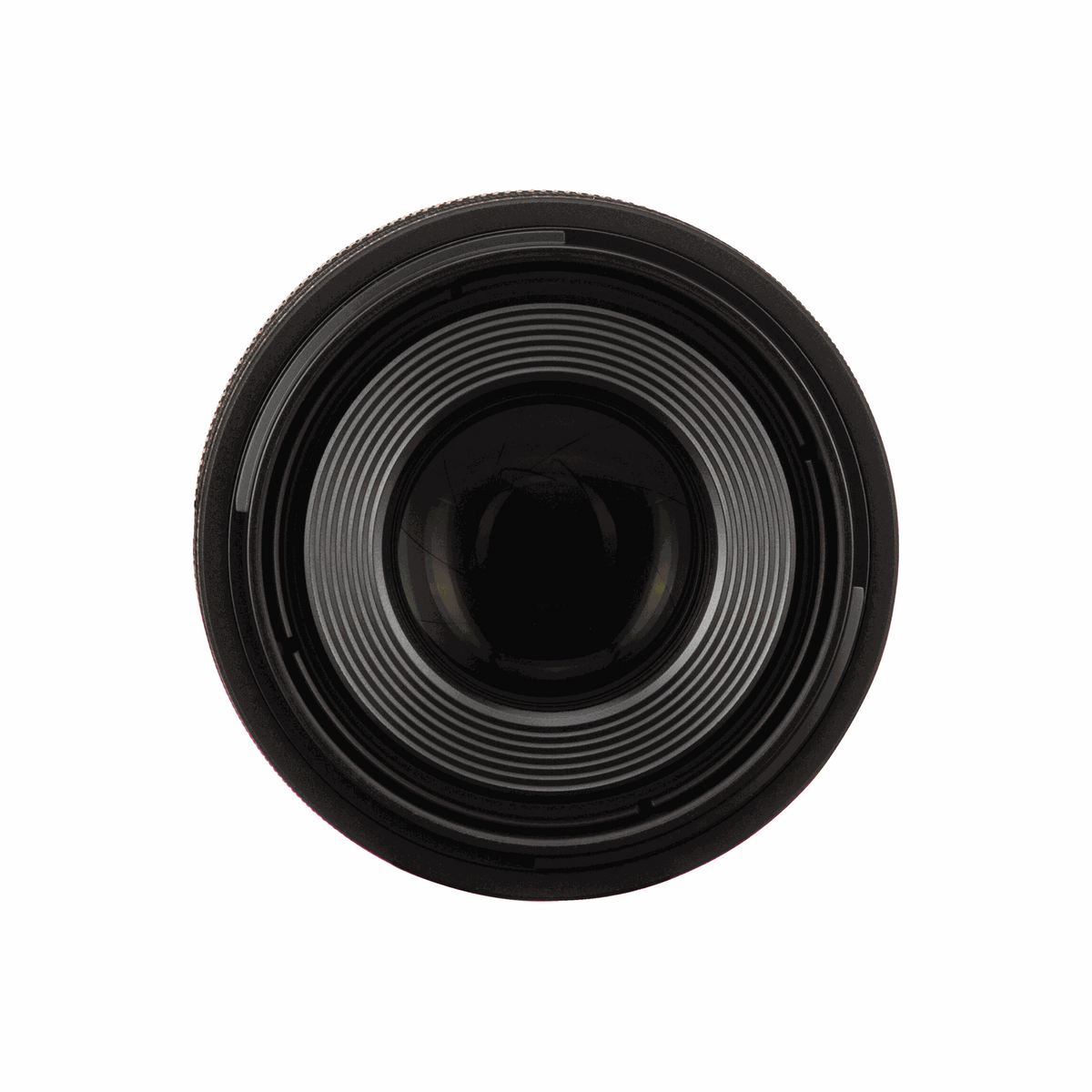Canon RF 100mm f/2.8L Macro IS USM Lens