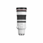 Canon RF 100-300mm f/2.8 L IS USM Lens