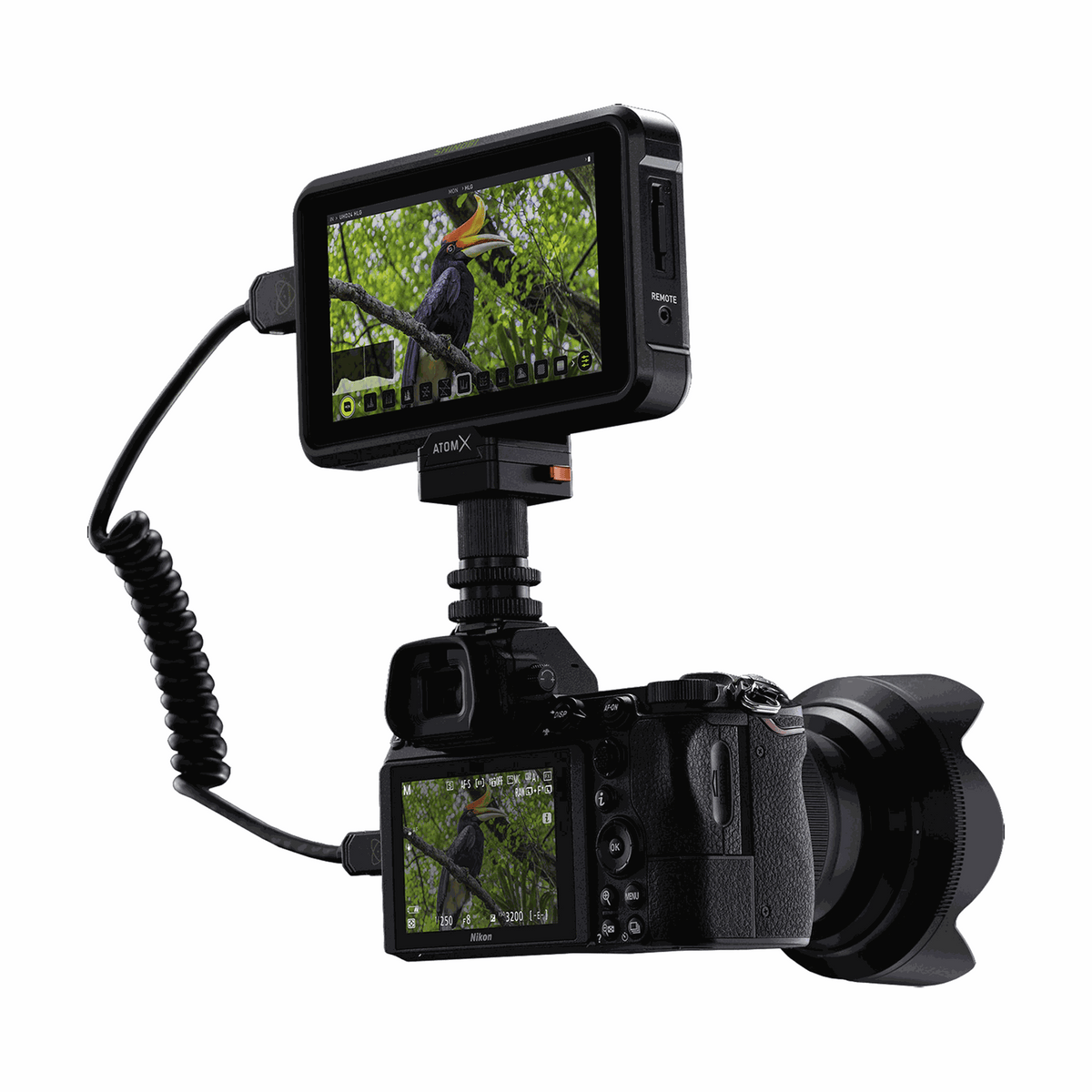 Atomos Shinobi 5" 4K HDMI Monitor